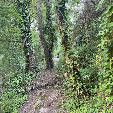 Casa de Férias Bodeguita Del Tietar Pedro Bernardo