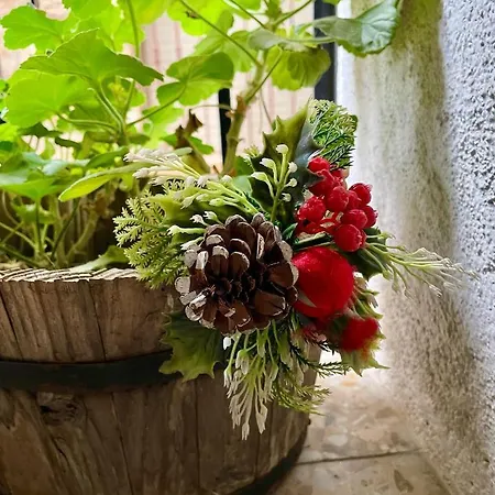 Bodeguita Del Tietar *