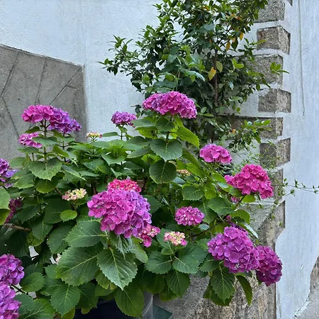 Bodeguita Del Tietar Vakantiehuis Pedro Bernardo