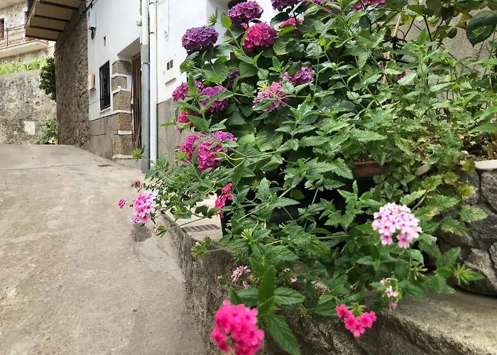 Bodeguita Del Tietar 펜션