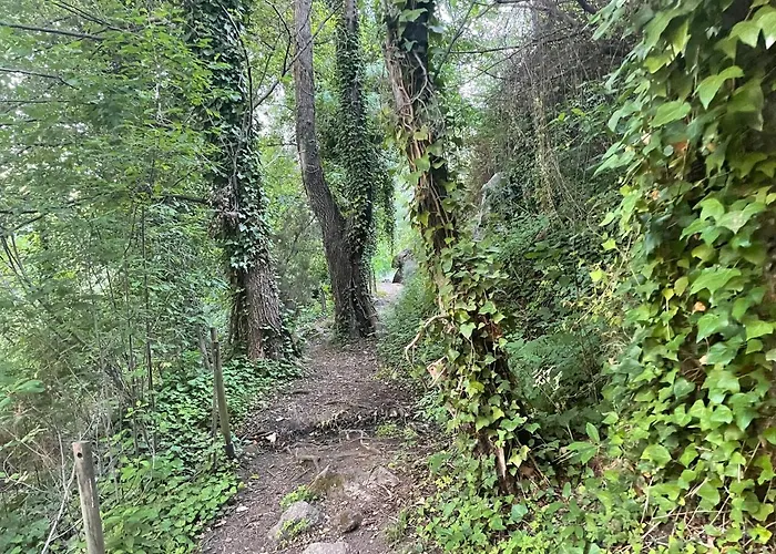 펜션 Bodeguita Del Tietar Pedro Bernardo