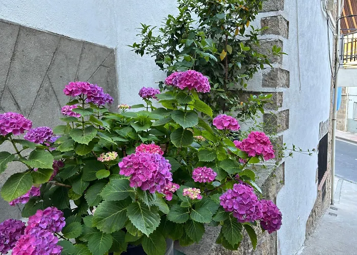 Bodeguita Del Tietar 펜션 Pedro Bernardo